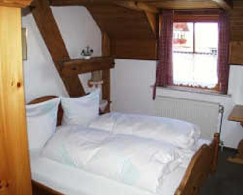Hotel Restaurant Schrotmuehle Scheinfeld Esterno foto